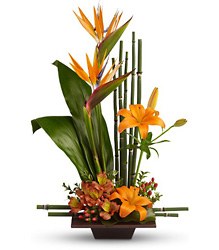 Teleflora's Exotic Grace from Victor Mathis Florist in Louisville, KY